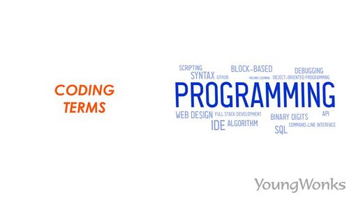 An image to demonstrate coding terms.