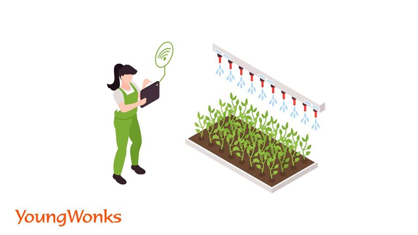iot farming