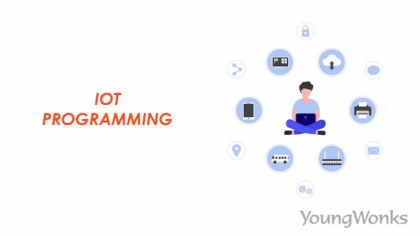 IOT Programming