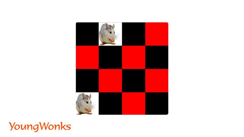 memory tile game