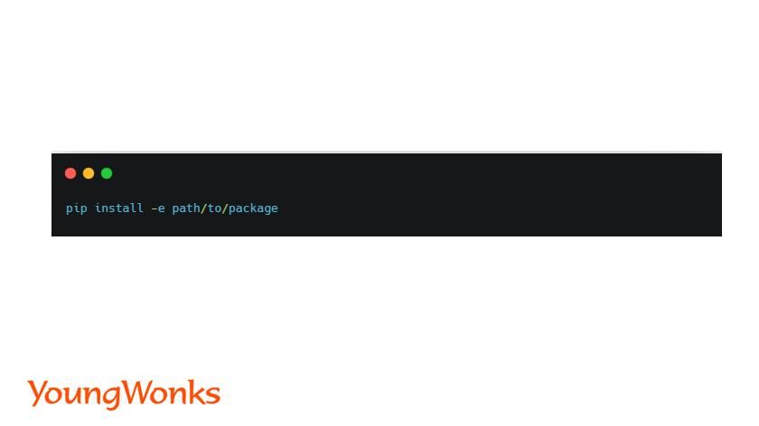 pip install package path