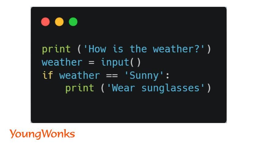 python if example