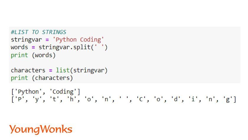 python string methods list to string