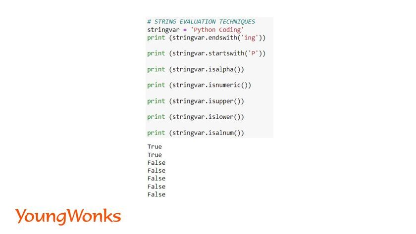 python string methods string evaluation techniques