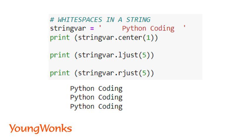 python string methods whitespaces