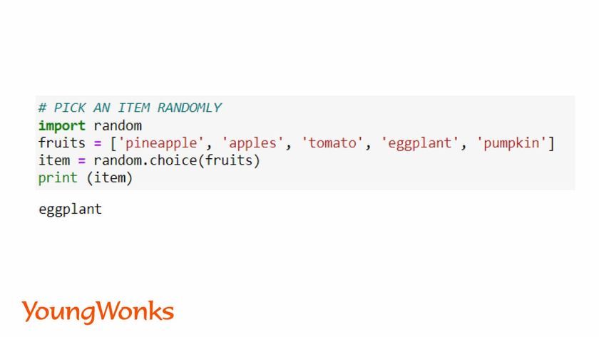 random module python choice snippet