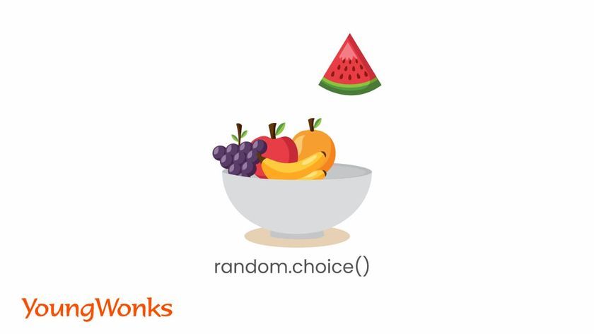 random module python choice