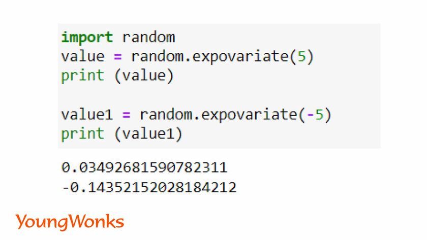 random module python expovariate