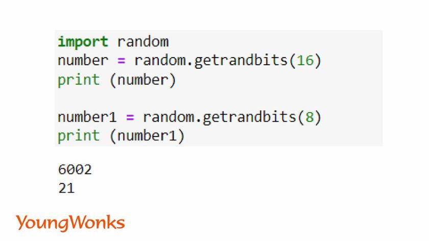 random module python getrandbits