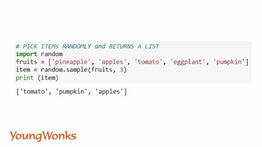 random module python sample snippet