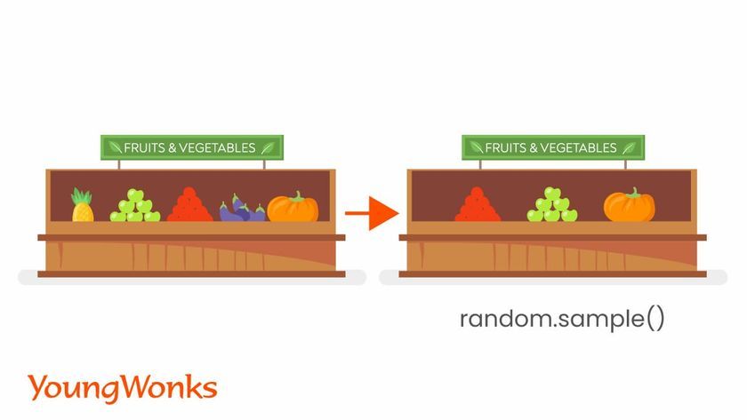 random module python sample