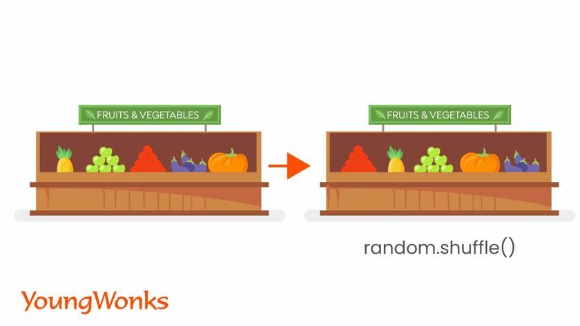 random module python shuffle