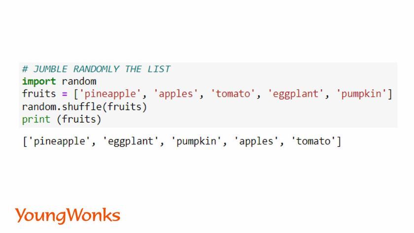 random module python shuffling snippet