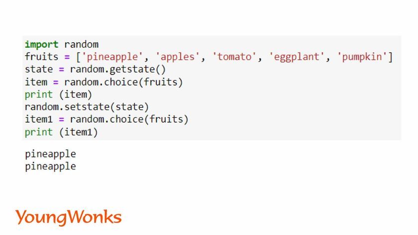 random module python state