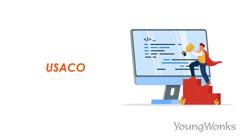 An image that explains how USACO works.