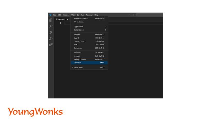 view terminal vs code