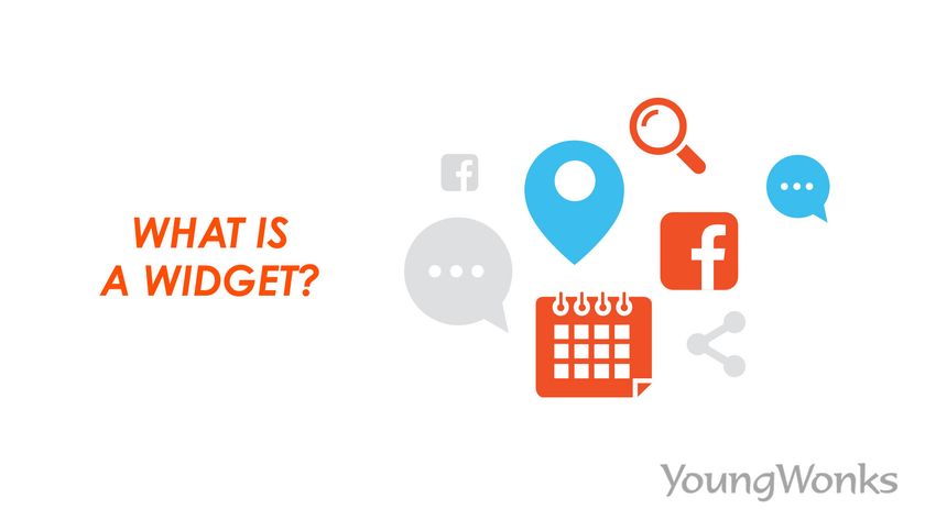 What is a Widget