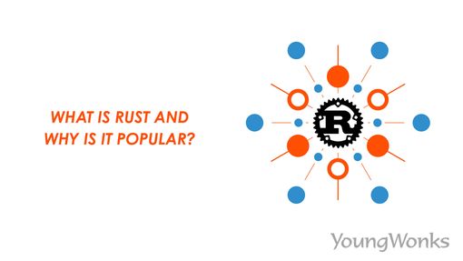 Rust programming language