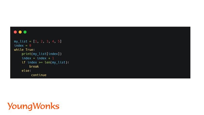 while loop on list