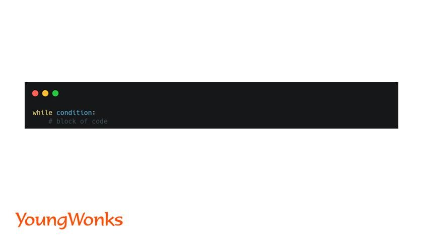while loop python