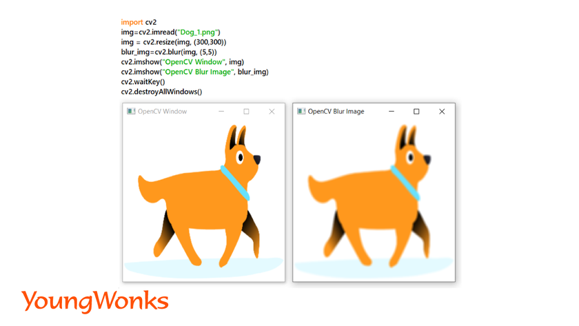 getting-started-with-python-image-processing-using-OpenCV-blur-image