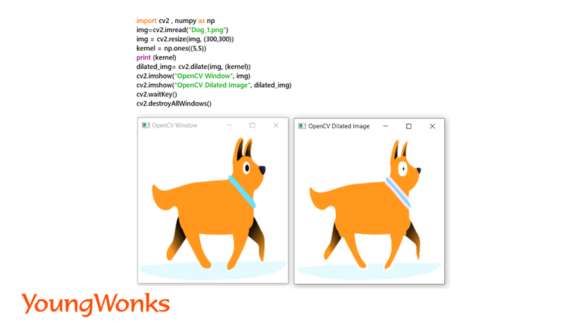 getting-started-with-python-image-processing-using-OpenCV-dilated-image