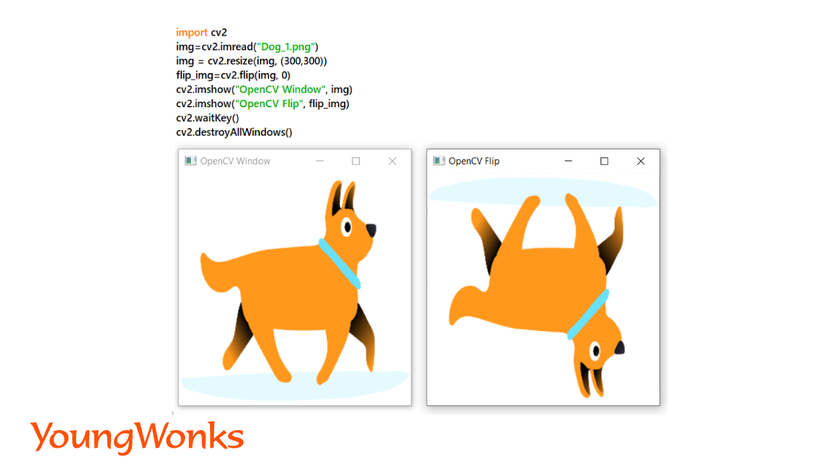 getting-started-with-python-image-processing-using-OpenCV-flip-image