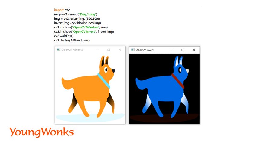 getting-started-with-python-image-processing-using-OpenCV-invert-image