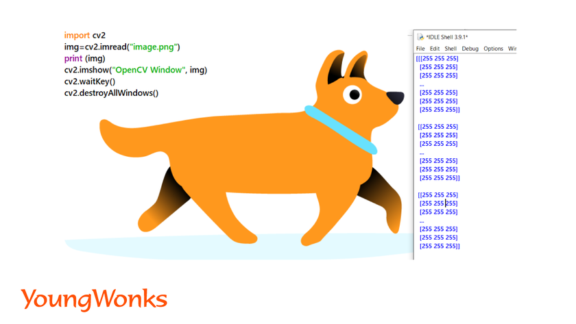 getting-started-with-python-image-processing-using-OpenCV-read-colored-image-output
