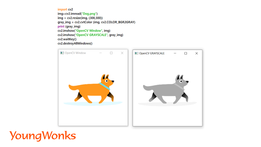 getting-started-with-python-image-processing-using-OpenCV-read-image-grayscale