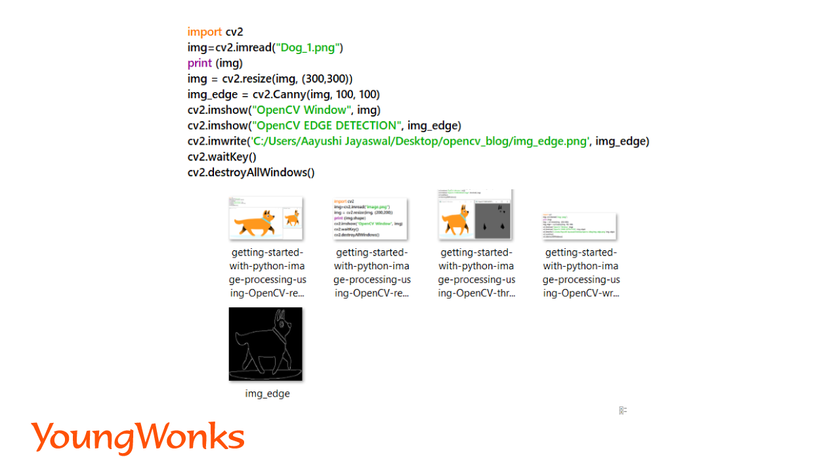 getting-started-with-python-image-processing-using-OpenCV-write-image-output