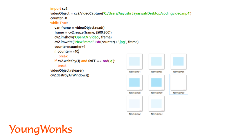 getting-started-with-python-image-processing-using-OpenCV-write-video-frames-output