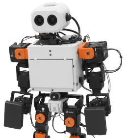YoungWonks humanoid robotics classes