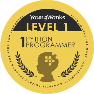 Python_medal