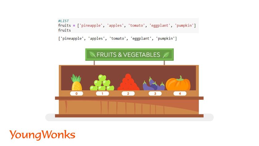python list methods