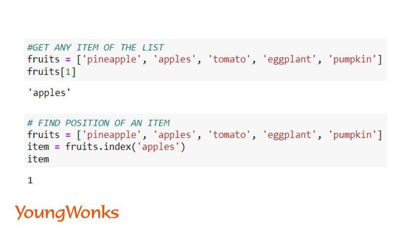 python list methods index