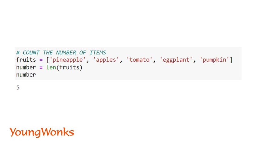 python list methods length