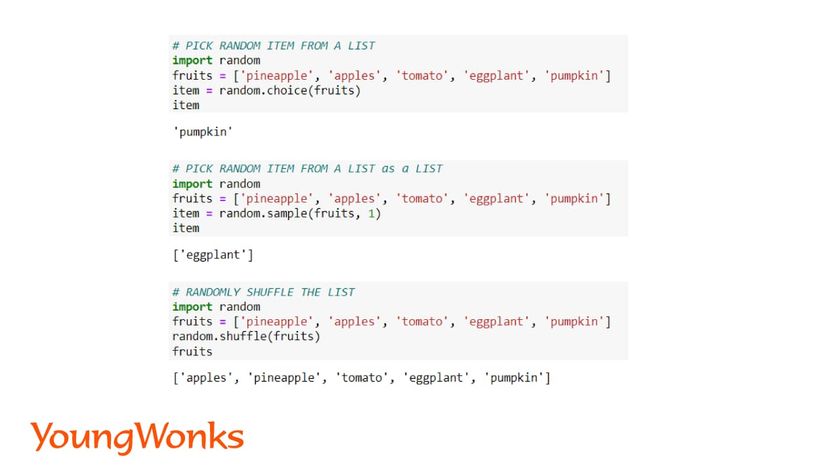 python list methods random module with lists