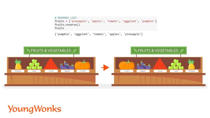 python list methods reversed
