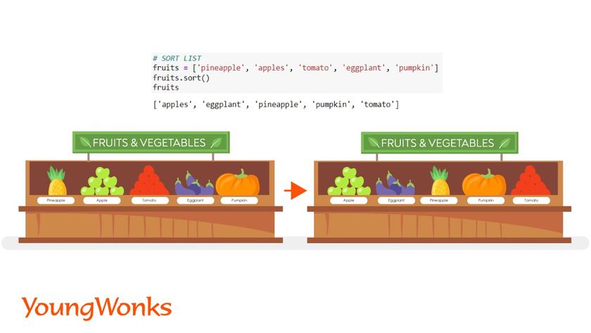 python list methods sorting
