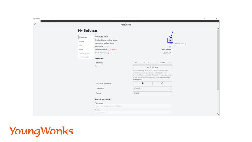 roblox account info display name