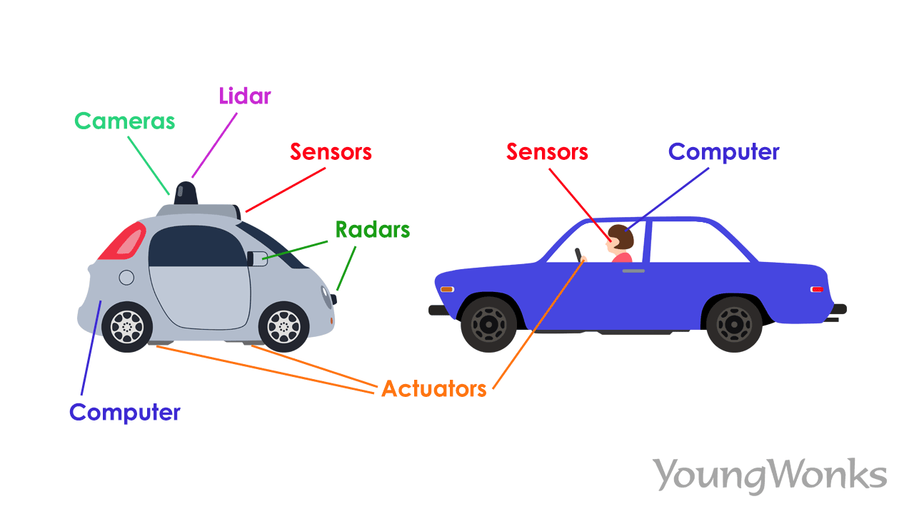 Self-driving car vs traditional car