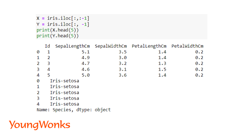 What is logistic regression preprocess data multi class