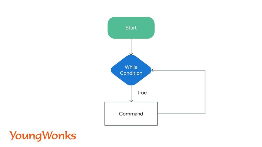While loops in Python infinite loop flowchart