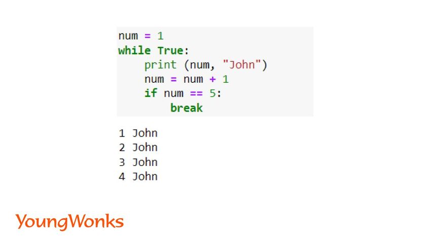 While loops in Python break statement