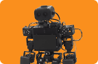 Humanoid Robotics online classes